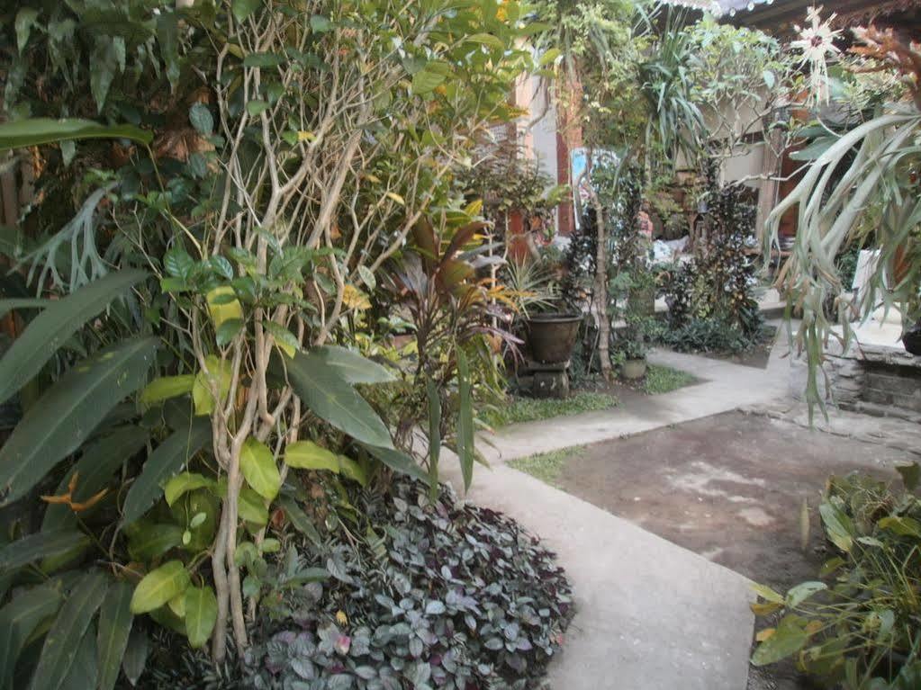 Alamanda Accomodation Ubud  Ngoại thất bức ảnh